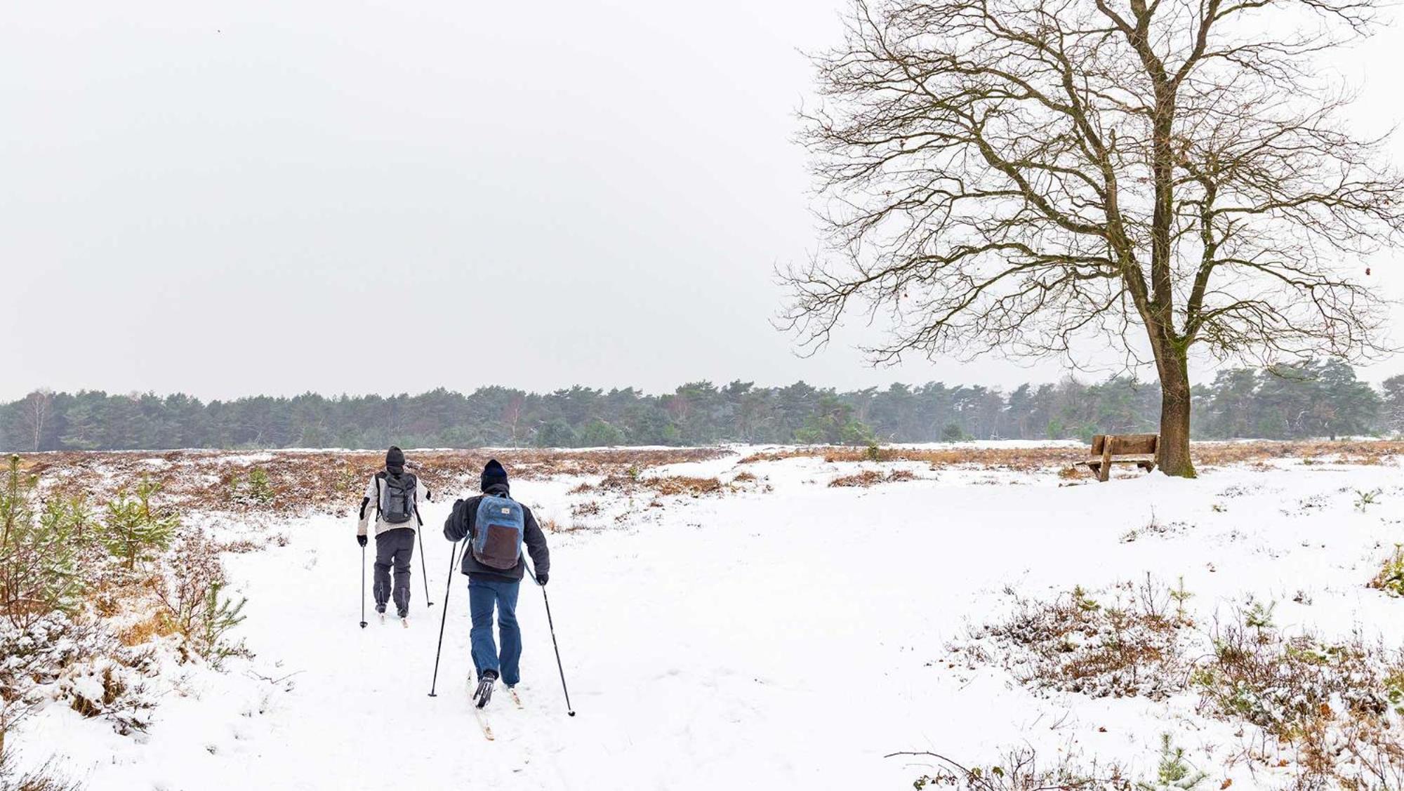 Molecaten Park Landgoed Ginkelduin Leersum Екстер'єр фото